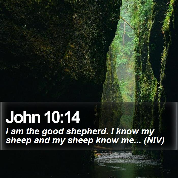 John 10:14 - I am the good shepherd. I know my sheep and my sheep know me... (NIV)

