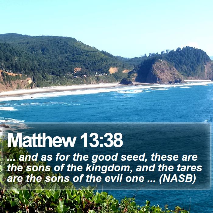 Matthew 13:38 - ... and as for the good seed, these are the sons of the kingdom, and the tares are the sons of the evil one ... (NASB)
