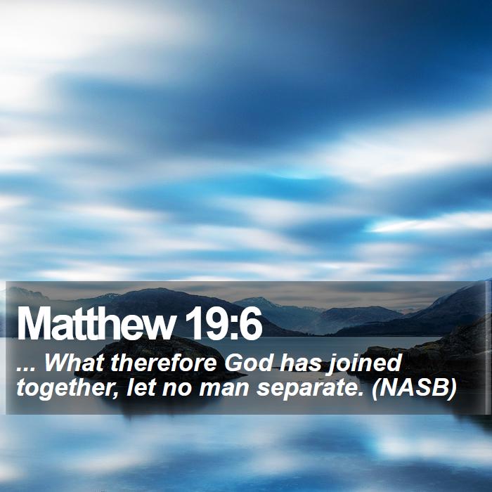 Matthew 19:6 - ... What therefore God has joined together, let no man separate. (NASB)
