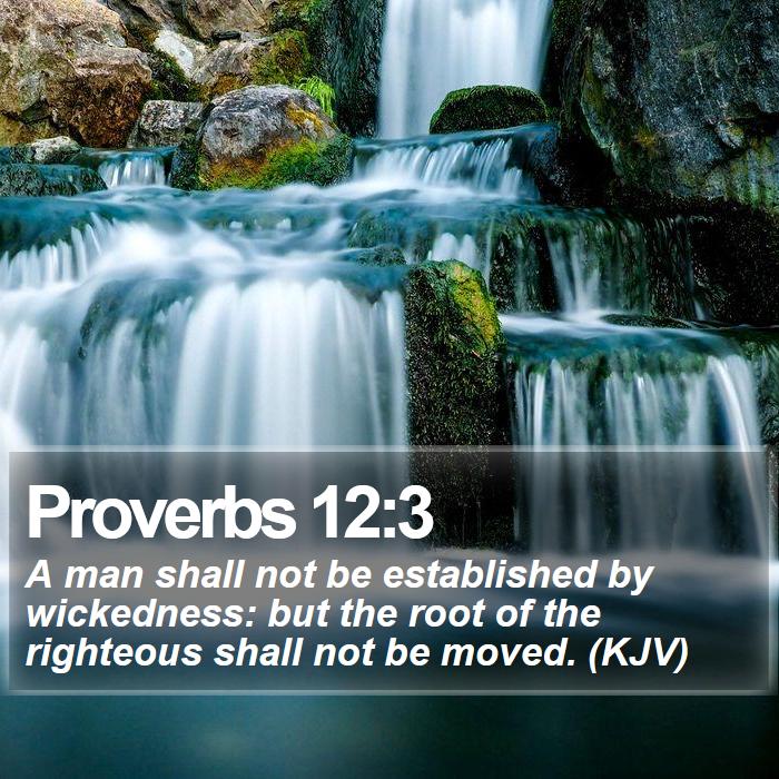 Proverbs 12:3 - A man shall not be established by wickedness: but the root of the righteous shall not be moved. (KJV)
