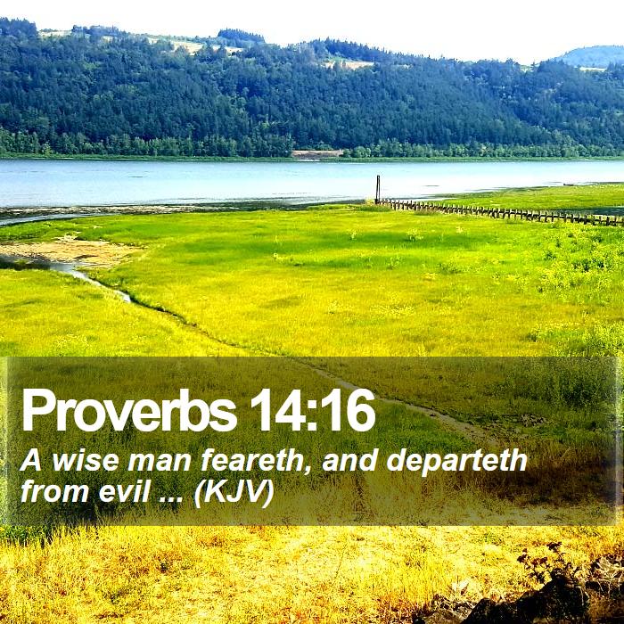 Proverbs 14:16 - A wise man feareth, and departeth from evil ... (KJV)
