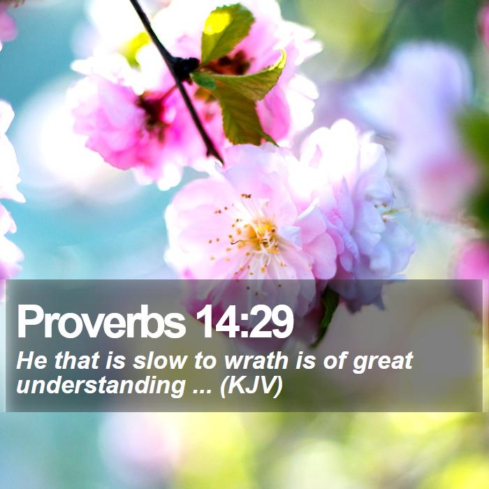 Proverbs 14:29 - He that is slow to wrath is of great understanding ... (KJV)
