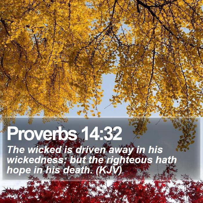 Proverbs 14:32 - The wicked is driven away in his wickedness: but the righteous hath hope in his death. (KJV)
