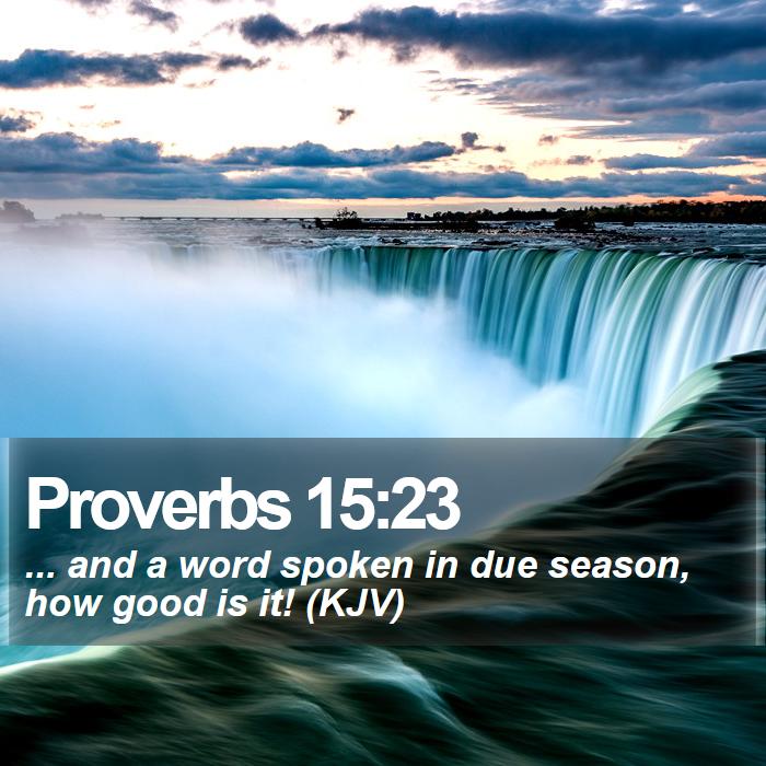 Proverbs 15:23 - ... and a word spoken in due season, how good is it! (KJV)
