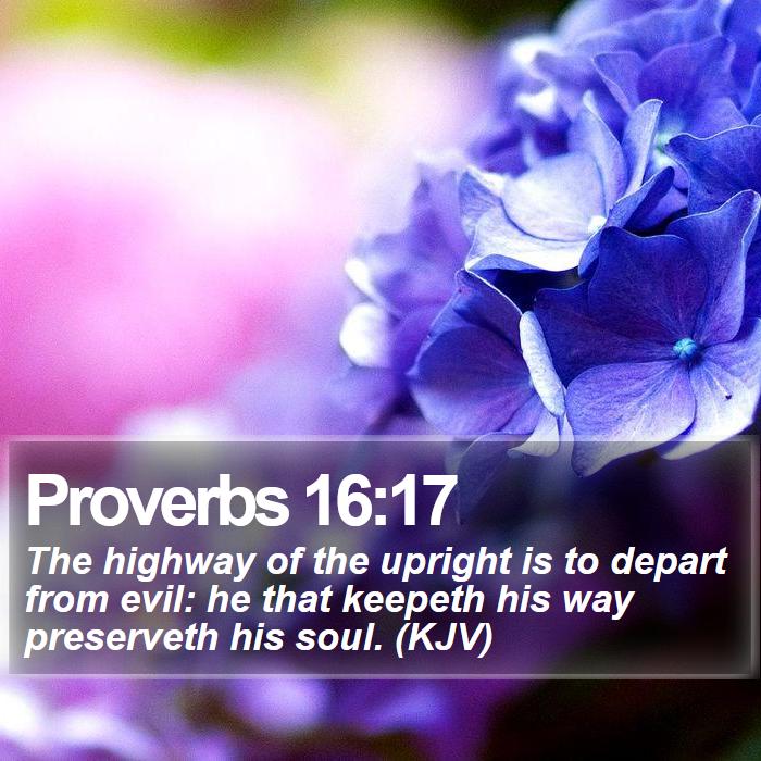Proverbs 16:17 - The highway of the upright is to depart from evil: he that keepeth his way preserveth his soul. (KJV)
