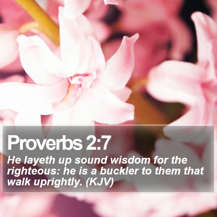 Proverbs 2:7 - He layeth up sound wisdom for the righteous: he is a buckler to them that walk uprightly. (KJV)
