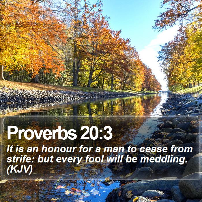 Proverbs 20:3 - It is an honour for a man to cease from strife: but every fool will be meddling. (KJV)

