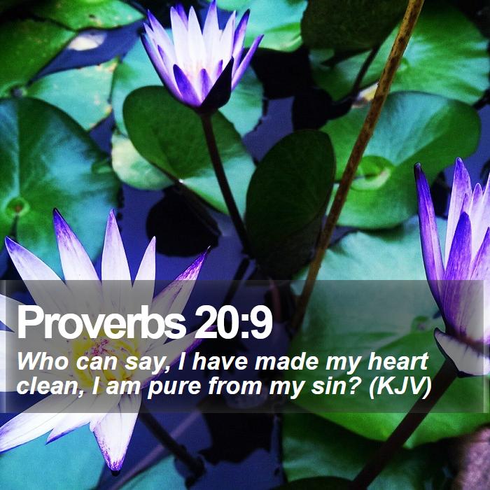 Proverbs 20:9 - Who can say, I have made my heart clean, I am pure from my sin? (KJV)
