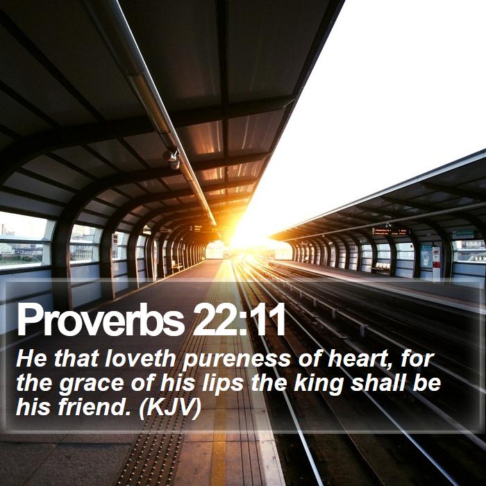 Proverbs 22:11 - He that loveth pureness of heart, for the grace of his lips the king shall be his friend. (KJV)
