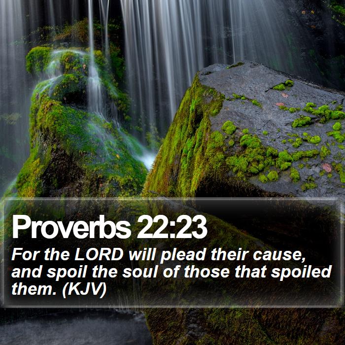 Proverbs 22:23 - For the LORD will plead their cause, and spoil the soul of those that spoiled them. (KJV)
