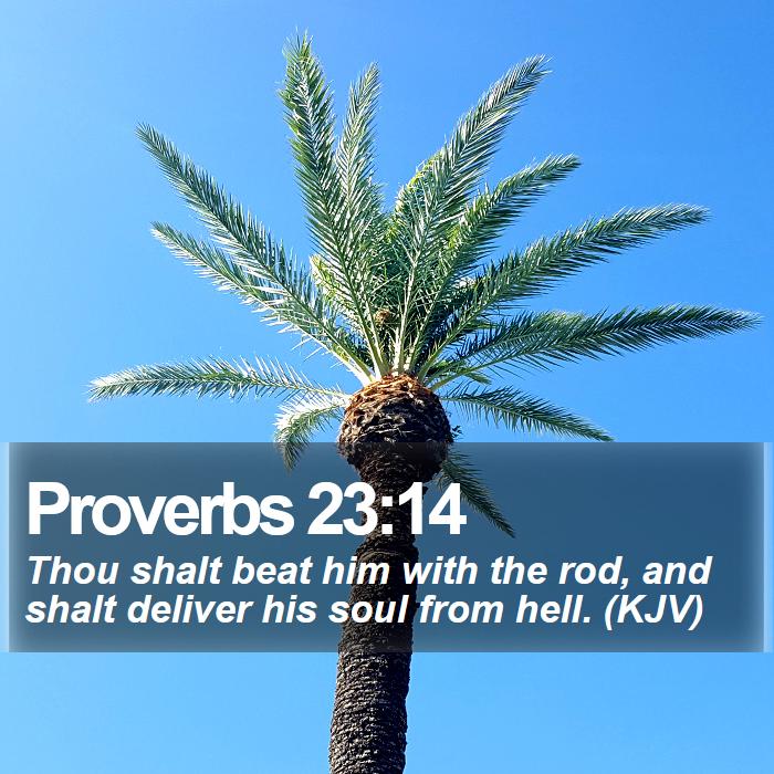 Proverbs 23:14 - Thou shalt beat him with the rod, and shalt deliver his soul from hell. (KJV)
