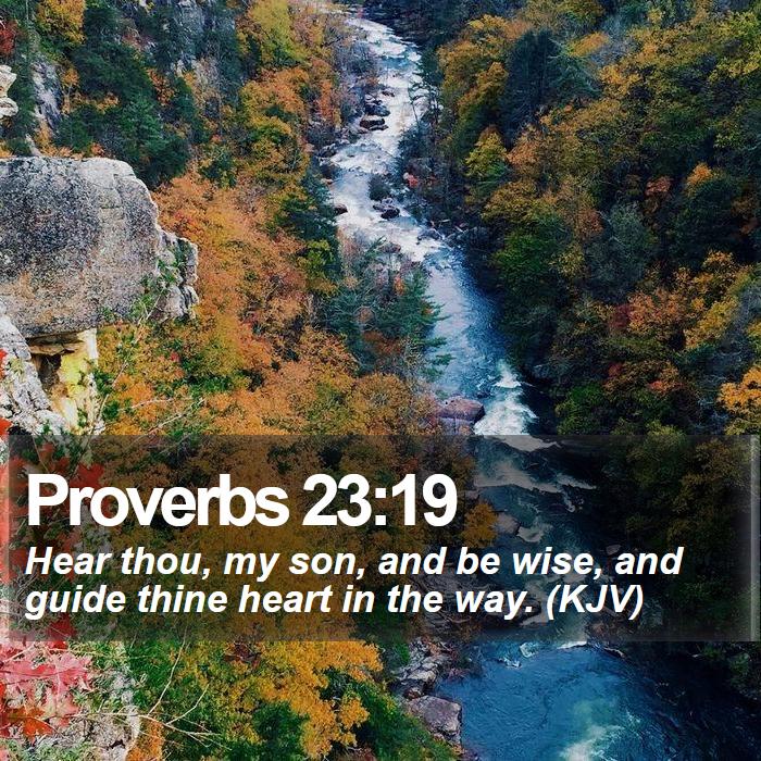 Proverbs 23:19 - Hear thou, my son, and be wise, and guide thine heart in the way. (KJV)
