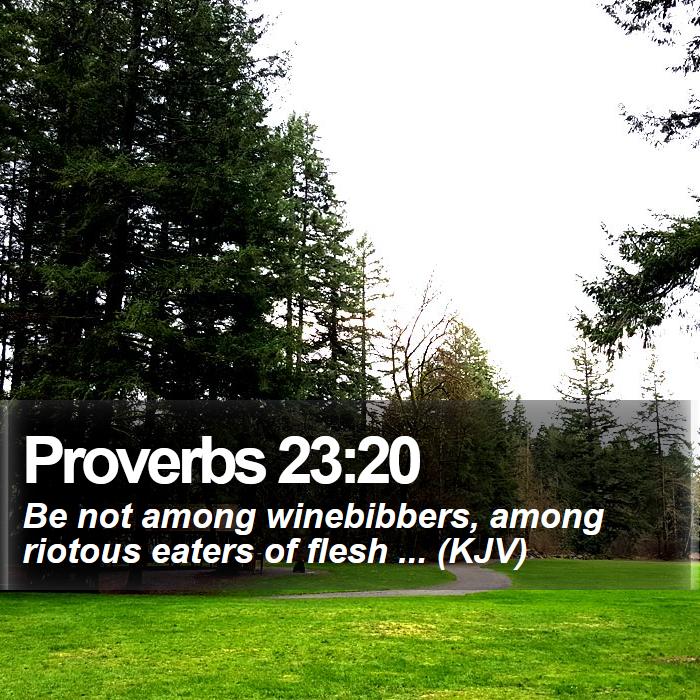 Proverbs 23:20 - Be not among winebibbers, among riotous eaters of flesh ... (KJV)
