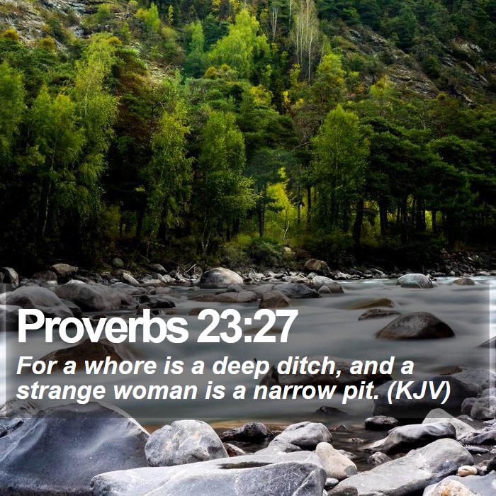 Proverbs 23:27 - For a whore is a deep ditch, and a strange woman is a narrow pit. (KJV)
