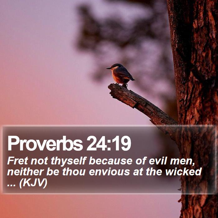 Proverbs 24:19 - Fret not thyself because of evil men, neither be thou envious at the wicked ... (KJV)
