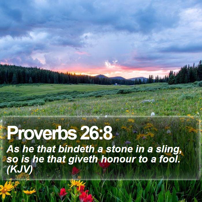 Proverbs 26:8 - As he that bindeth a stone in a sling, so is he that giveth honour to a fool. (KJV)

