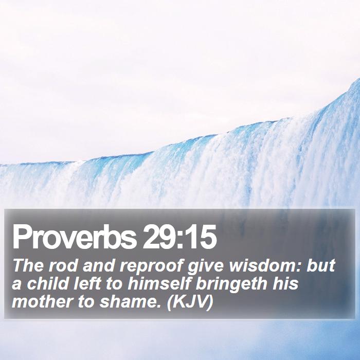 Proverbs 29:15 - The rod and reproof give wisdom: but a child left to himself bringeth his mother to shame. (KJV)
