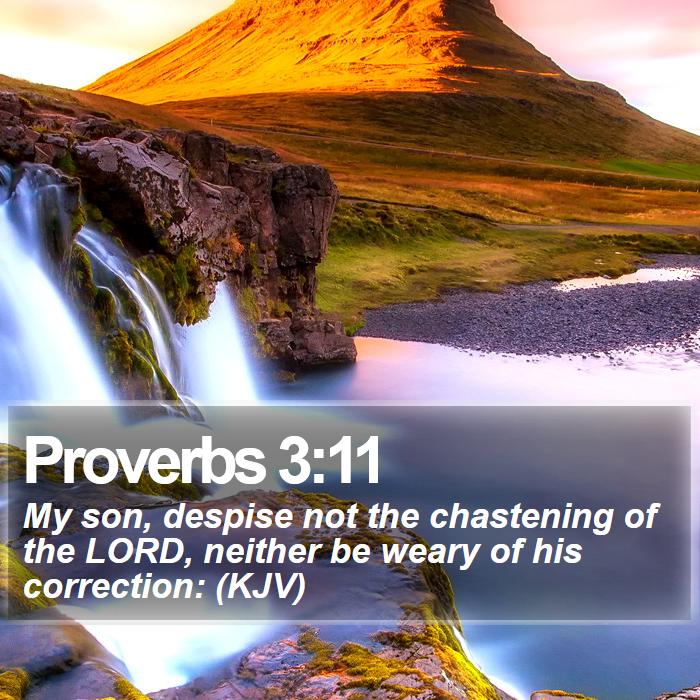 Proverbs 3:11 - My son, despise not the chastening of the LORD, neither be weary of his correction: (KJV)
