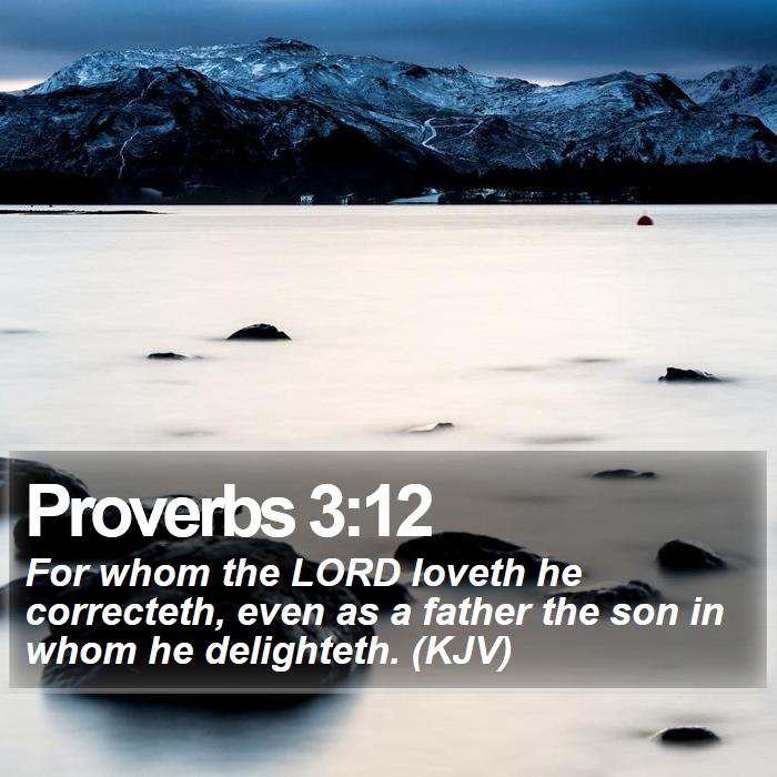 Proverbs 3:12 - For whom the LORD loveth he correcteth, even as a father the son in whom he delighteth. (KJV)
