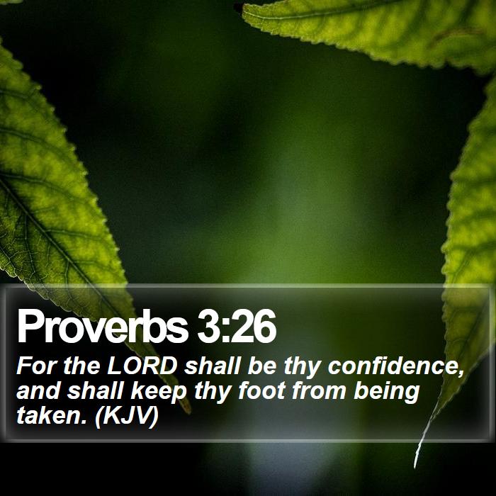Proverbs 3:26 - For the LORD shall be thy confidence, and shall keep thy foot from being taken. (KJV)
