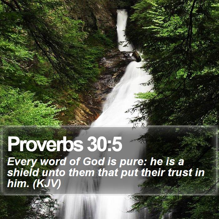 Proverbs 30:5 - Every word of God is pure: he is a shield unto them that put their trust in him. (KJV)
