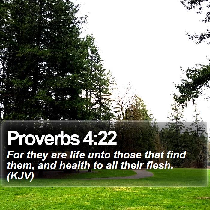 Proverbs 4:22 - For they are life unto those that find them, and health to all their flesh. (KJV)
