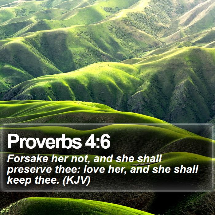 Proverbs 4:6 - Forsake her not, and she shall preserve thee: love her, and she shall keep thee. (KJV)
