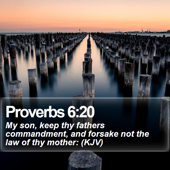 Proverbs 6:20 - My son, keep thy fathers commandment, and forsake not the law of thy mother: (KJV)
