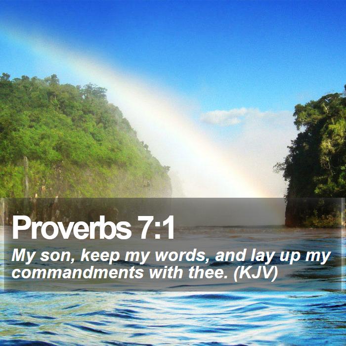Proverbs 7:1 - My son, keep my words, and lay up my commandments with thee. (KJV)
