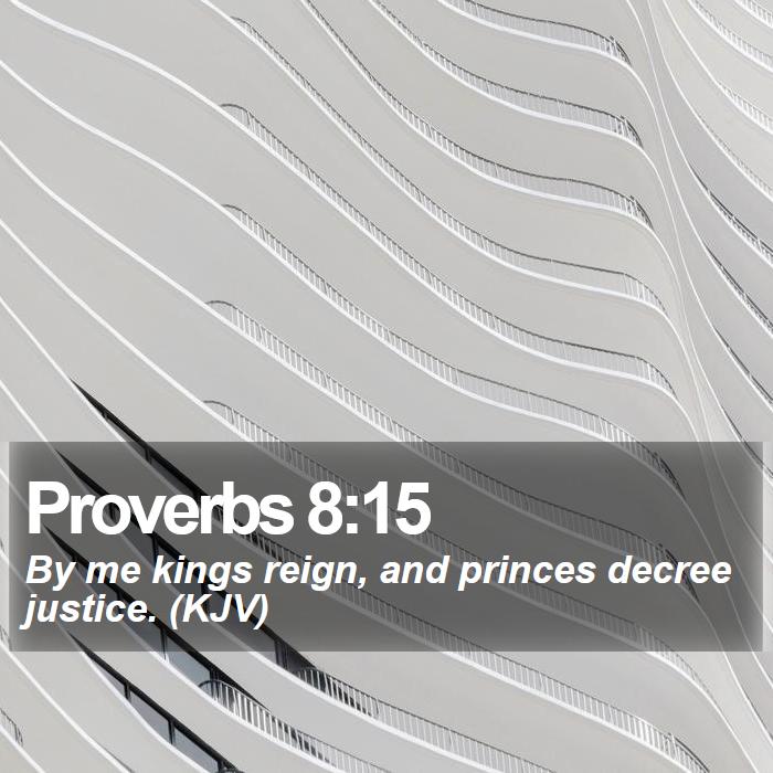 Proverbs 8:15 - By me kings reign, and princes decree justice. (KJV)
