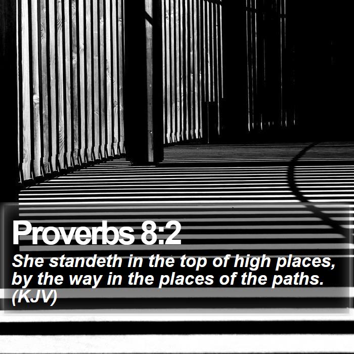 Proverbs 8:2 - She standeth in the top of high places, by the way in the places of the paths. (KJV)
