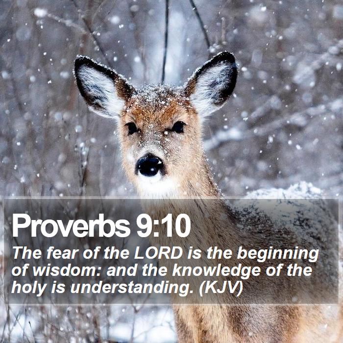 Proverbs 9:10 - The fear of the LORD is the beginning of wisdom: and the knowledge of the holy is understanding. (KJV)
