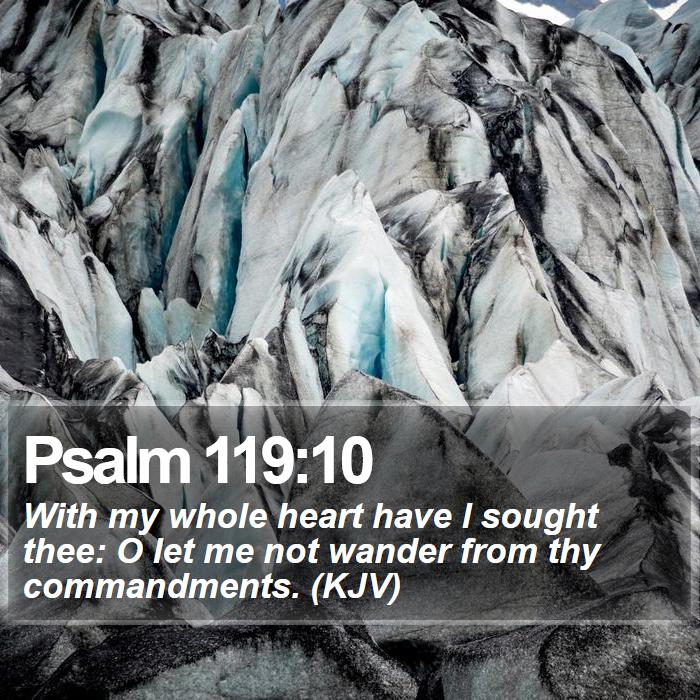 Psalm 119:10 - With my whole heart have I sought thee: O let me not wander from thy commandments. (KJV)
