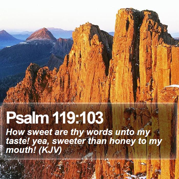 Psalm 119:103 - How sweet are thy words unto my taste! yea, sweeter than honey to my mouth! (KJV)
