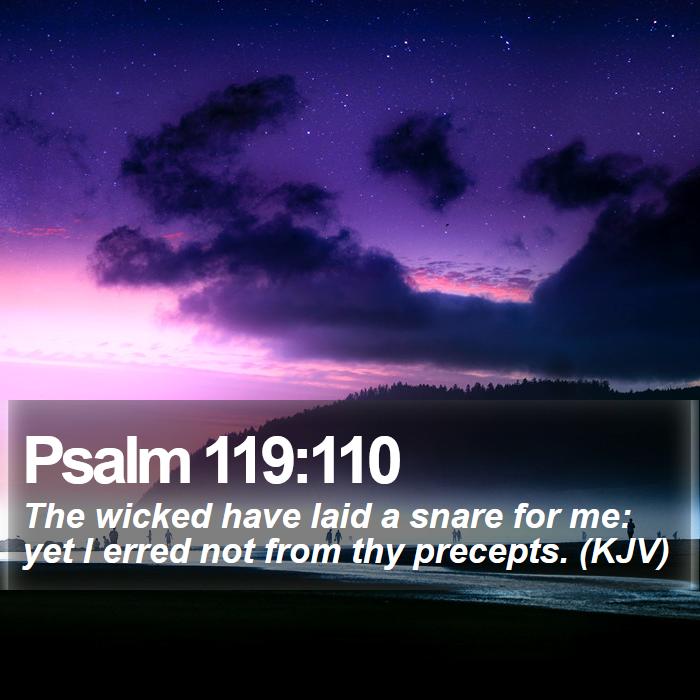 Psalm 119:110 - The wicked have laid a snare for me: yet I erred not from thy precepts. (KJV)
