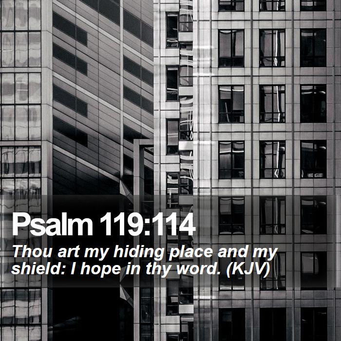 Psalm 119:114 - Thou art my hiding place and my shield: I hope in thy word. (KJV)
