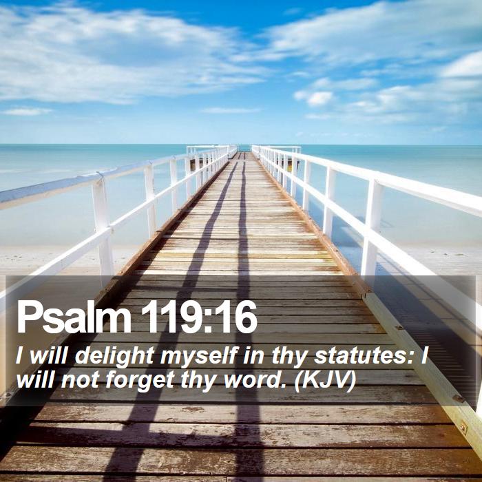 Psalm 119:16 - I will delight myself in thy statutes: I will not forget thy word. (KJV)
