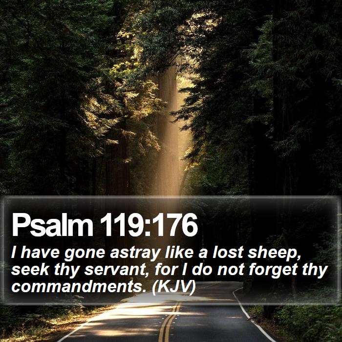 Psalm 119:176 - I have gone astray like a lost sheep, seek thy servant, for I do not forget thy commandments. (KJV)
