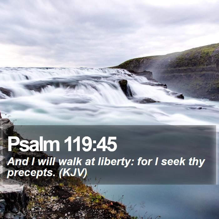 Psalm 119:45 - And I will walk at liberty: for I seek thy precepts. (KJV)
