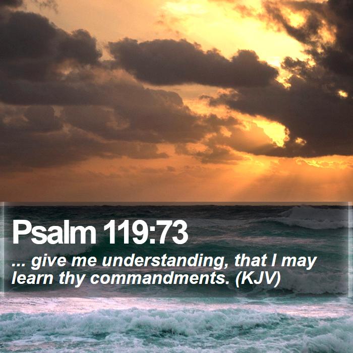Psalm 119:73 - ... give me understanding, that I may learn thy commandments. (KJV)
