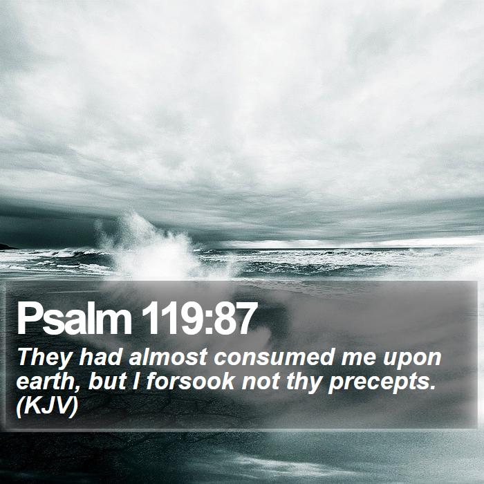 Psalm 119:87 - They had almost consumed me upon earth, but I forsook not thy precepts. (KJV)
