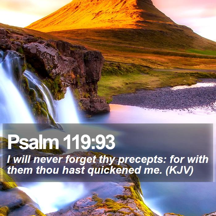 Psalm 119:93 - I will never forget thy precepts: for with them thou hast quickened me. (KJV)
