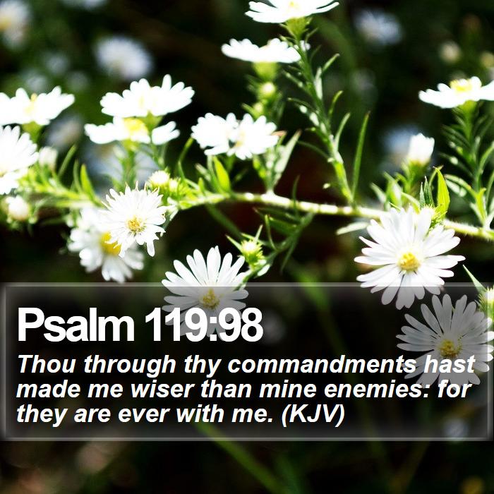 Psalm 119:98 - Thou through thy commandments hast made me wiser than mine enemies: for they are ever with me. (KJV)
