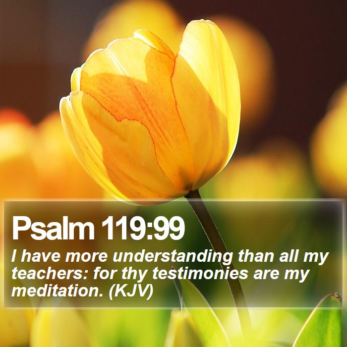 Psalm 119:99 - I have more understanding than all my teachers: for thy testimonies are my meditation. (KJV)
