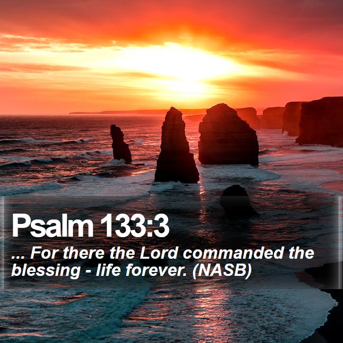 psalm 133 kjv