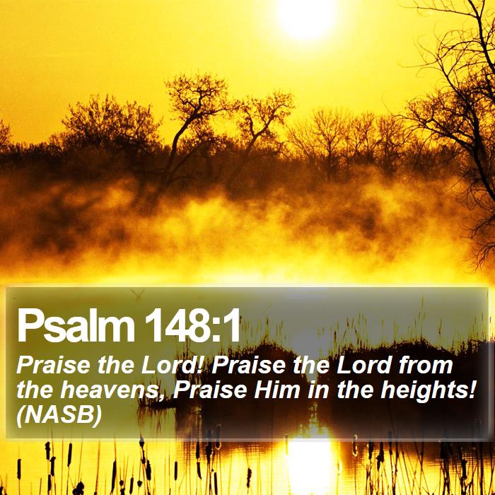Psalm 148:1 - Praise the Lord! Praise the Lord from the heavens, Praise Him in the heights! (NASB)
