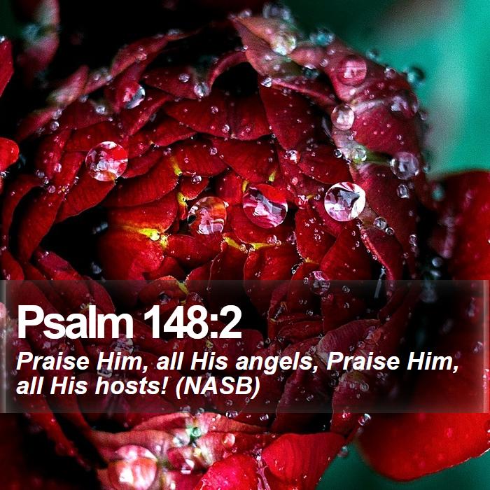 Psalm 148:2 - Praise Him, all His angels, Praise Him, all His hosts! (NASB)
