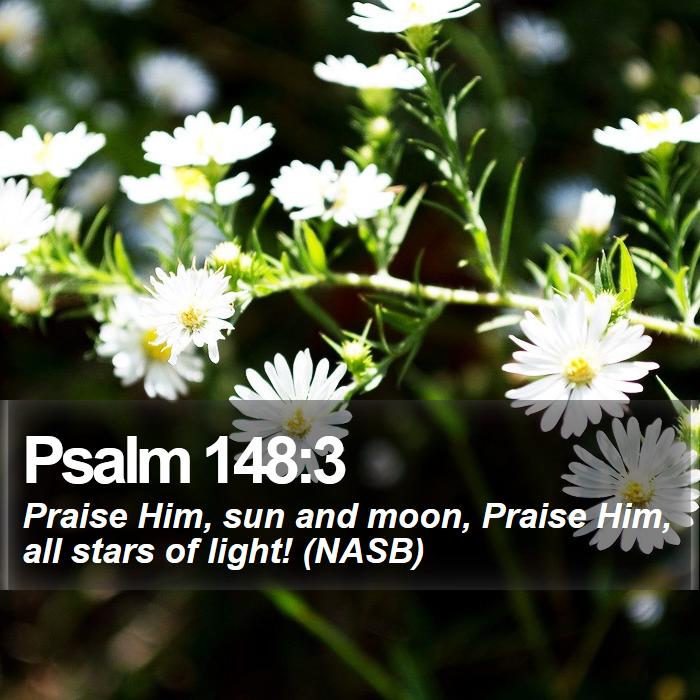 Psalm 148:3 - Praise Him, sun and moon, Praise Him, all stars of light! (NASB)

