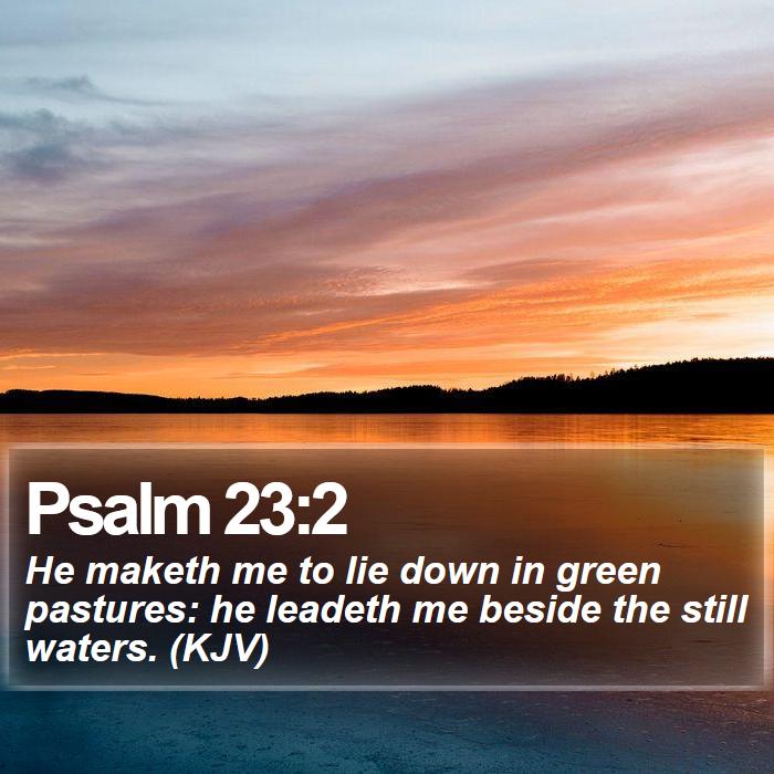 Psalm 23:2 - He maketh me to lie down in green pastures: he leadeth me beside the still waters. (KJV)
