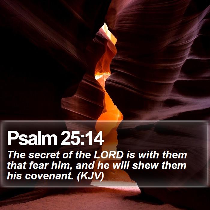 Psalm 25:14 - The secret of the LORD is with them that fear him, and he will shew them his covenant. (KJV)
